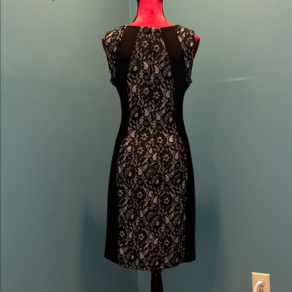 Katherine Barclay Elegant Black and Cream Lace Dress Size 10 - Picture 5 of 15